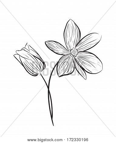 Wildflowers hand drawn outline style. Vector illustration