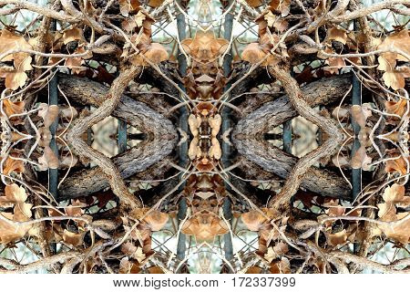 a magnificent composition representing branches interwoven together