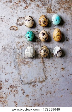 Colorful Easter Quail Eggs
