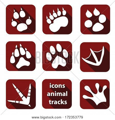 Icons traces of various animals in a flat design vector