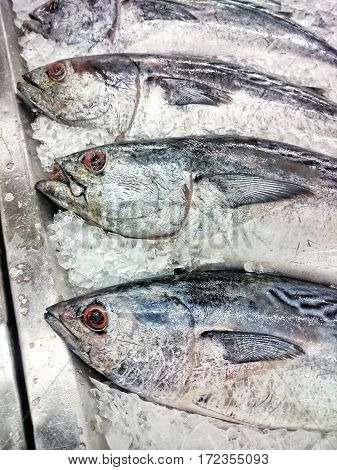 Fresh fish on ice at the seafood booth Food industrial image
