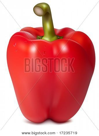 Illustrazione vettoriale fotorealistica di peperone rosso con gocce d'acqua.