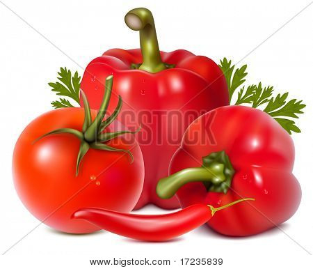 Fotorealistické vektor. Červená zelenina s petrželkou.