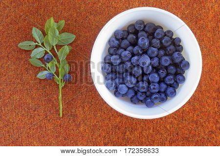 Close up photo of blueberries on the plate. Fresh ripe juicy bilberries bright autumn colorful background. Concept for healthy diet with berries. Selective Soft focus