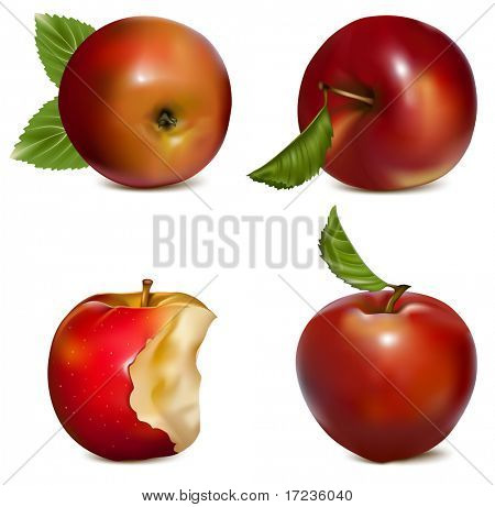 Vektorové ilustrace.  Sada červených jablek.