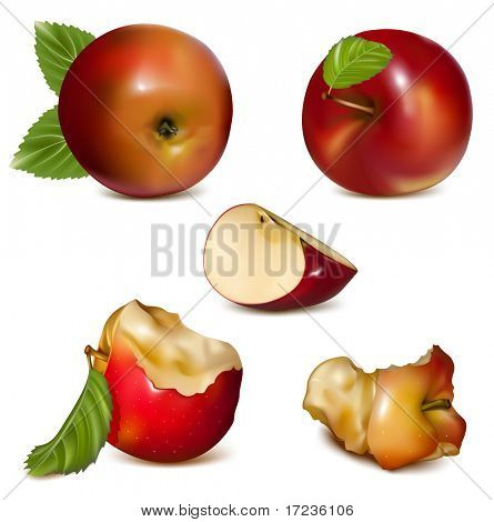 Vektorové ilustrace. Sada červených jablek.