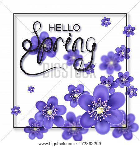 Hello Spring letter decorating with Hepatica flower. Seasonal lettering decoration with blur effect. Vector illustration.