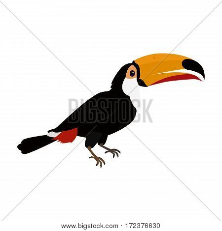 Toucan vector. Animals of rainy Amazonian forests in flat design. Fauna of South America. Wild life in tropics concept for posters, childrens books illustrating. Beautiful toucan isolated on white.
