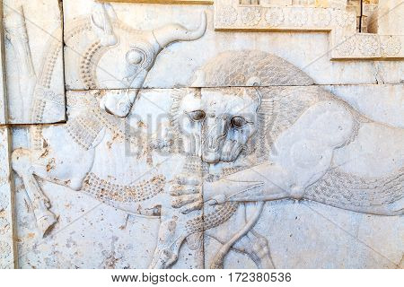 In Iran          Persepolis