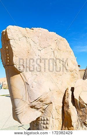 In Iran          Persepolis