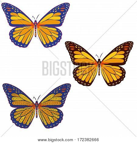set of colored mosaic butterflies on whith background. isolated. vector illustration.