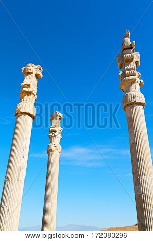 In Iran          Persepolis