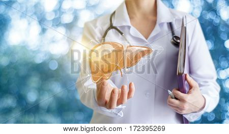 Doctor shows liver concept design banner .