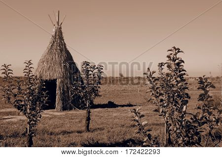 Teepee aka wigwam in the field with young trees. Vintage sepia toned image.