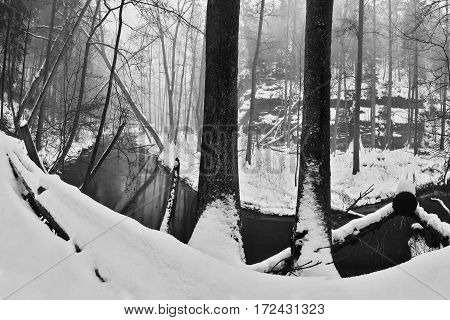 meander of Robecsky potok creek in Peklo valley in snowy winter in Machuv kraj region in Czech republic