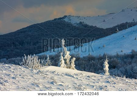 Beautiful Winter Landscape In The Mountains, Bieszczady, Poland