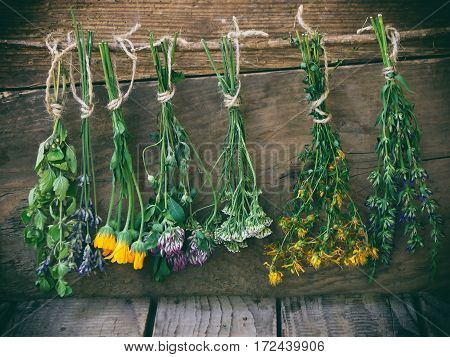 Bunches Of Healing Herbs - Mint, Yarrow, Lavender, Clover, Hyssop, Calendula, Milfoil, Herbal Medici