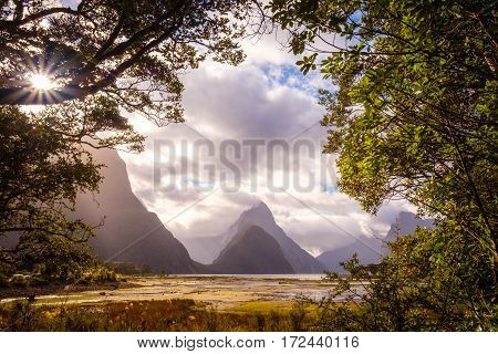 Landscape View Of Milford Sound Framed In Trees, New Zealand