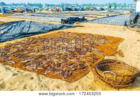 The Baskets For Fish
