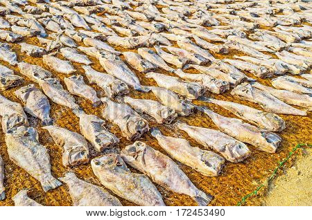 The Unskinned Drying Fish