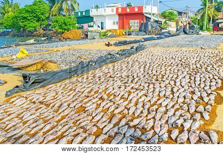 The Basis Of Coastal Cuisine