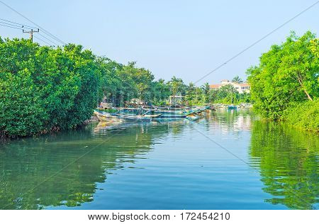 The Green Harbor