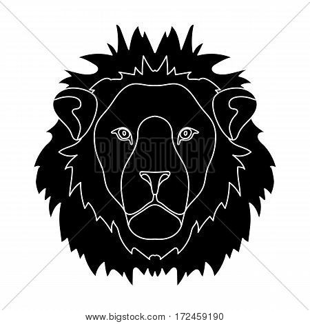 Lion icon in black design isolated on white background. Realistic animals symbol stock vector illustration.