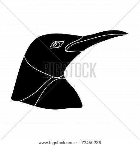 Penguin icon in black design isolated on white background. Realistic animals symbol stock vector illustration.