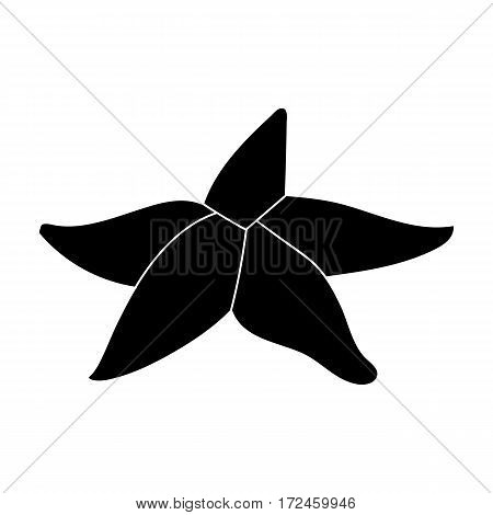 Seastar icon in black design isolated on white background. Sea animals symbol stock vector illustration.