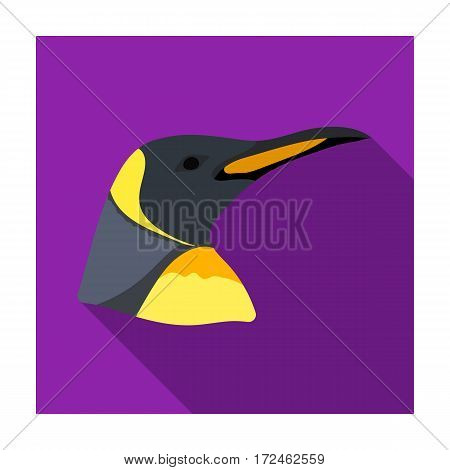 Penguin icon in flat design isolated on white background. Realistic animals symbol stock vector illustration.