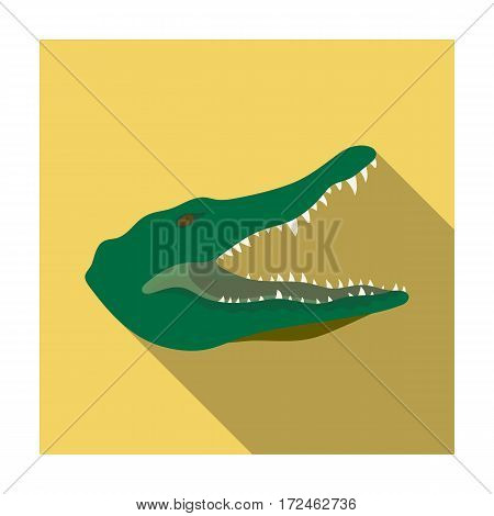 Crocodile icon in flat design isolated on white background. Realistic animals symbol stock vector illustration.
