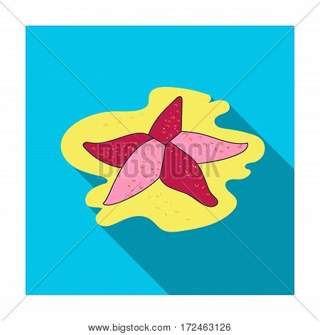 Seastar icon in flat design isolated on white background. Sea animals symbol stock vector illustration.