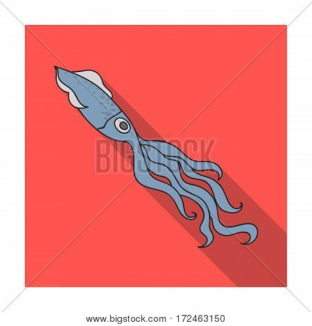 Squid icon in flat design isolated on white background. Sea animals symbol stock vector illustration.