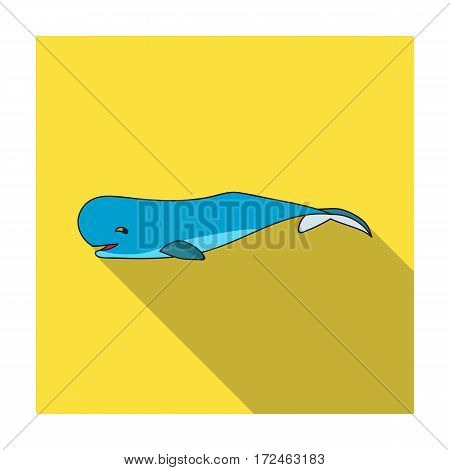 Sperm whale icon in flat design isolated on white background. Sea animals symbol stock vector illustration.