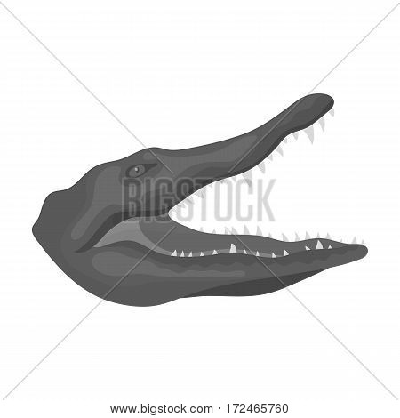 Crocodile icon in monochrome design isolated on white background. Realistic animals symbol stock vector illustration.