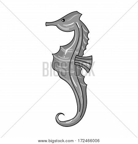 Seahorse icon in monochrome design isolated on white background. Sea animals symbol stock vector illustration.