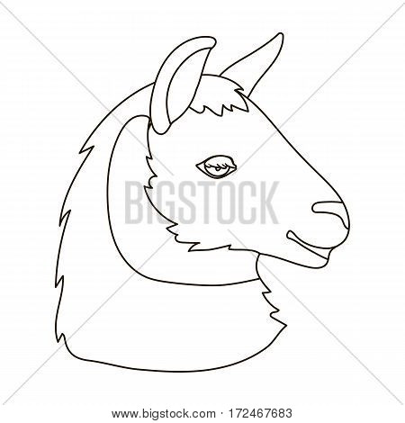 Lama icon in outline design isolated on white background. Realistic animals symbol stock vector illustration.