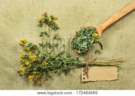 Tutsan. Dried herbs for use in alternative medicine spa herbal cosmetics herbal medicine preparing infusions decoctions tinctures powders ointments butter tea bath.