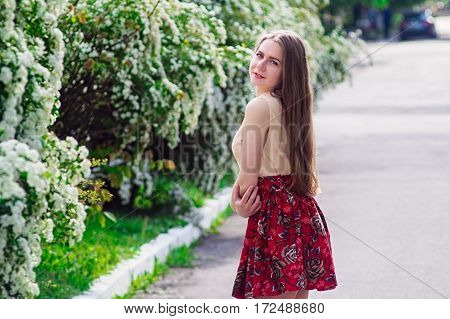 Beautiful Model Range Bush Of White Flowers
