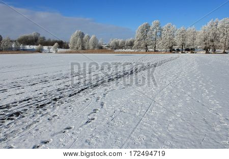 Fisherman's traces on forzen lake Masurien region Poland