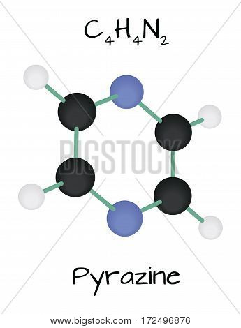molecule C4H4N2 Pyrazine isolated on white in vector