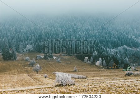Beautiful Ladnscape Of Pine Forest Mountain In Winter.