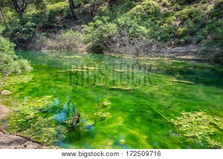 Green lake in Seven Springs (Epta Piges) area. Rhodes island Dodecanese Greece