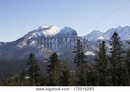 Winter mountains covered with snow view from a big meadow in Tatry mountains in Poland