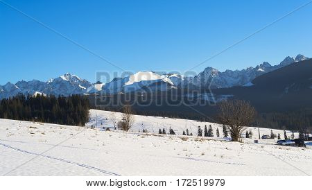 Winter mountains covered with snow view from a big meadow in Tatry mountains in Poland
