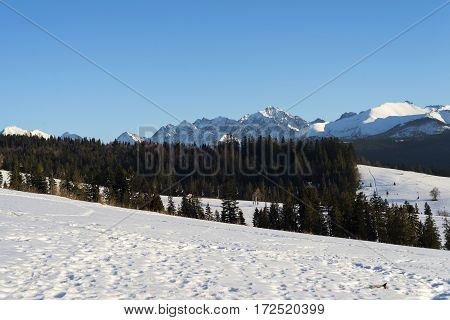 Winter mountains covered with snow view from a big meadow in Tatry mountains in Poland