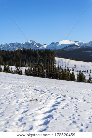 Winter mountains covered with snow view from a big meadow in Tatry mountains in Poland