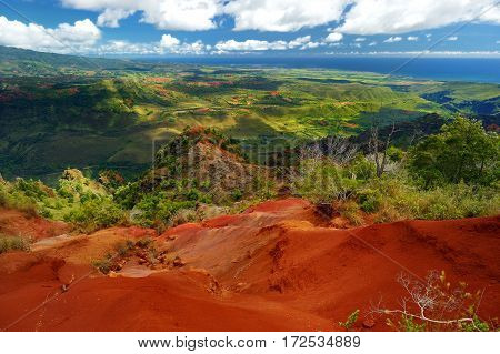 Stunning View Into Waimea Canyon, Kauai, Hawaii