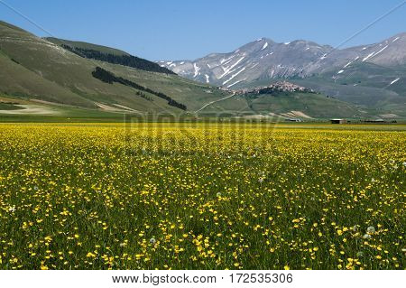 Beautiful view of the old italian mountain village Castelluccio, picturesque Apennine landscape, Norcia, Italy