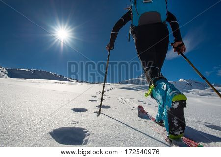 Walking with Walking with ski mountaineering with sealskins in mountains in mountains toward the sun